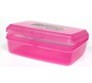 500ml STORAGE BOX & HINGED LID WITH CLIP